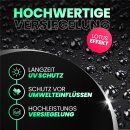 Menzerna Black Gloss & Protect Autopolitur 250ml