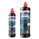 Liquid Carnauba Protection